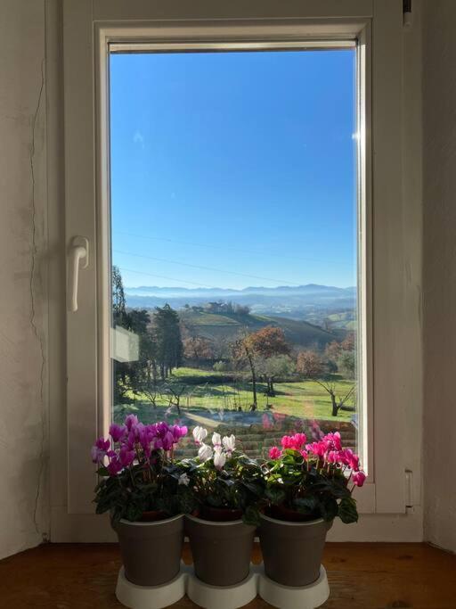 Villa Ginevri, La Casa Vacanze Immersa Nel Verde Mondavio Exterior photo