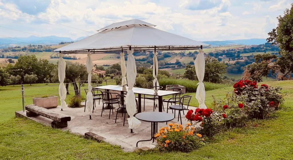 Villa Ginevri, La Casa Vacanze Immersa Nel Verde Mondavio Exterior photo